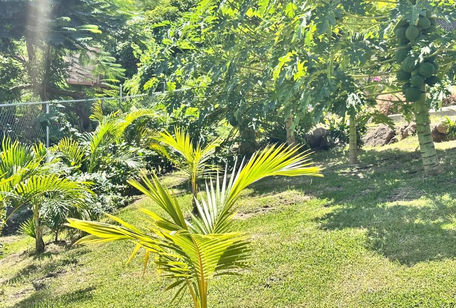 No 11 Independence Apartments St. George's 0*,  Grenada