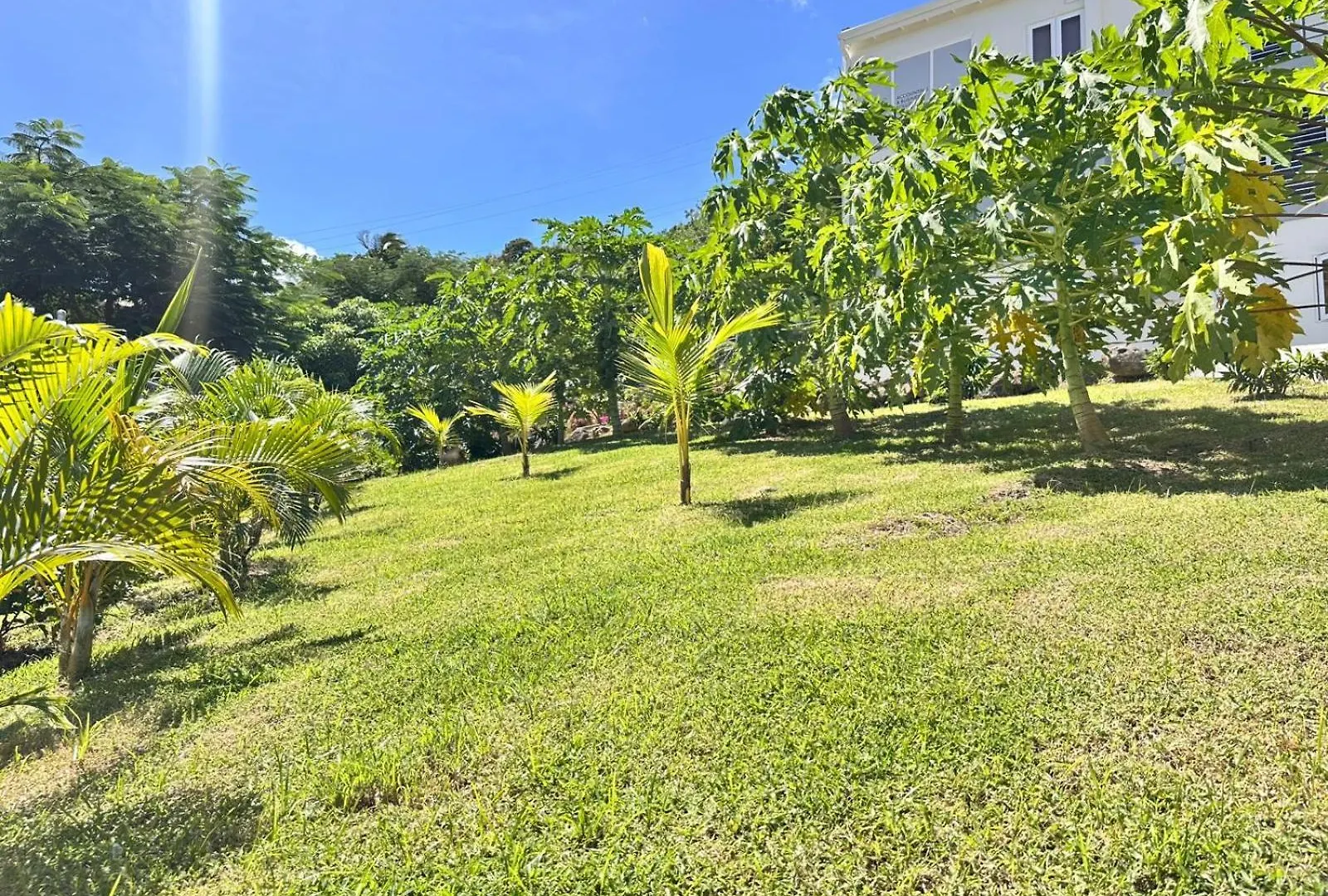 No 11 Independence Apartments St. George's Grenada