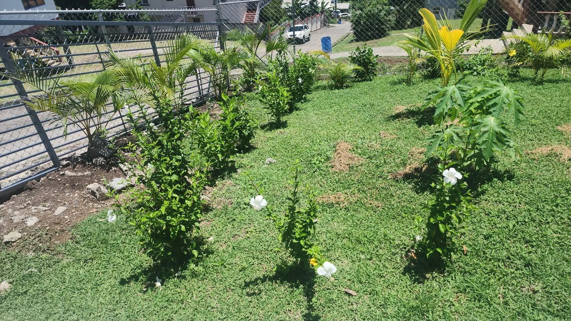 Apartmanhotel No 11 Independence Apartments St. George's Grenada