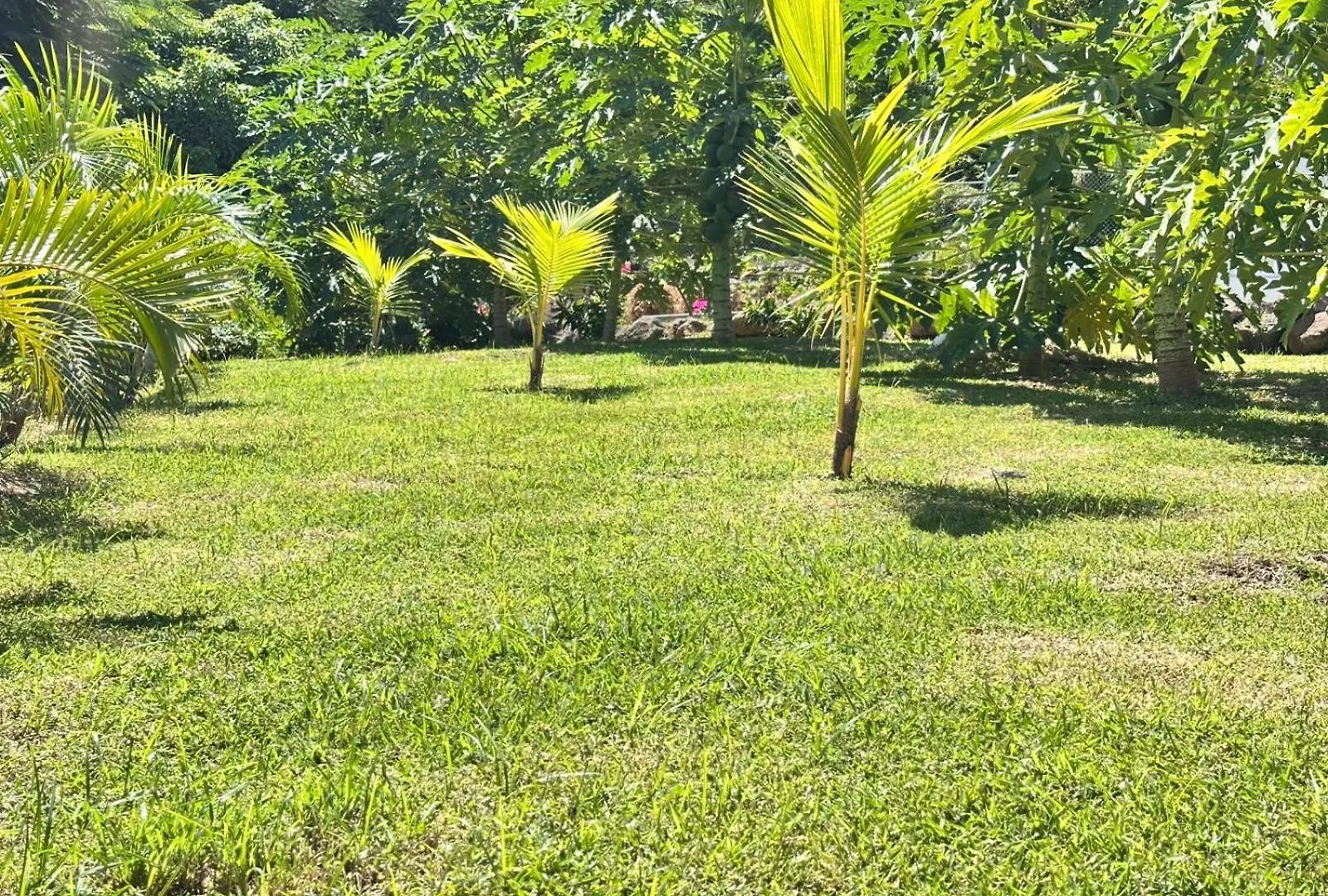 Lejlighedshotel No 11 Independence Apartments St. George's Grenada